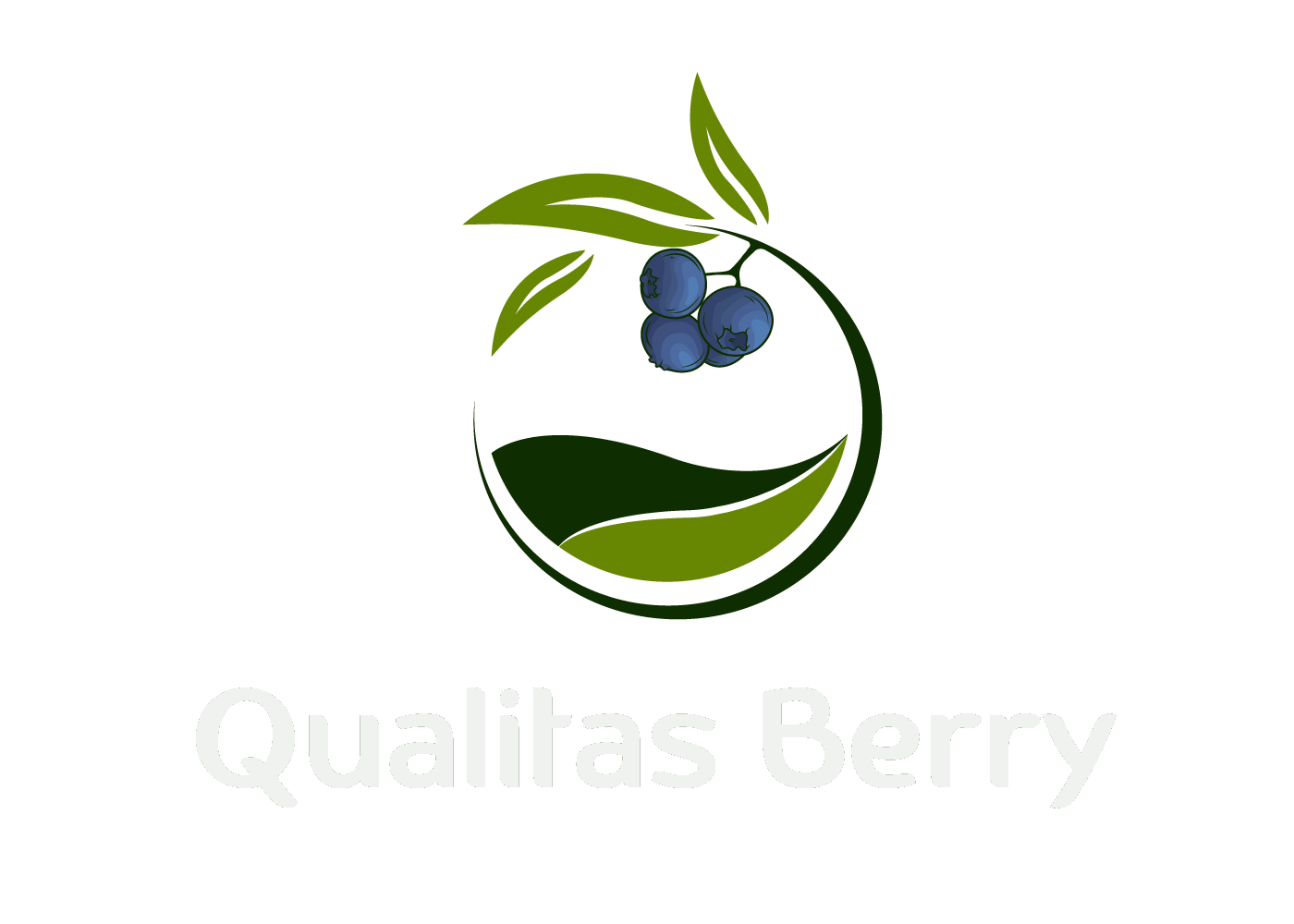 Qualitas Berry